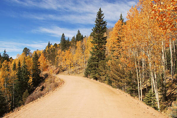 Landscape Art Print featuring the photograph Golden Leaves along Gold Camp Road No.5 by Daniel Woodrum