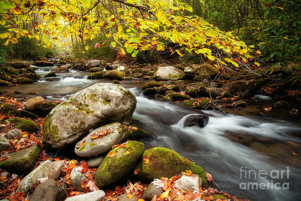 Fall Tour 2013 Art Print featuring the photograph Golden River Rush by Deborah Scannell