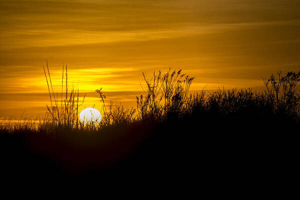 Dunes Art Print featuring the photograph Golden Sunrise by Andy Smetzer