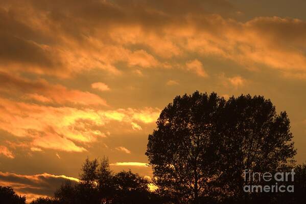 Sunset Silhouette Art Print featuring the photograph Golden Sunset Clouds by Jeremy Hayden