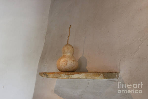 Photography Art Print featuring the photograph Gourd Still Life by Jeanette French