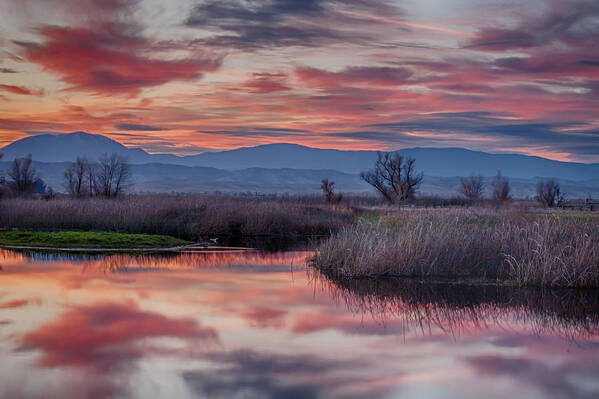 Beautiful Sunset Art Print featuring the photograph Grand Sunset by Lisa Chorny