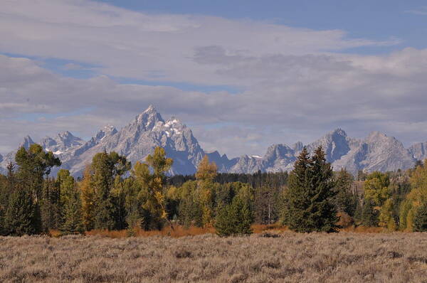 Mountains Art Print featuring the photograph Grand Teton by Frank Madia