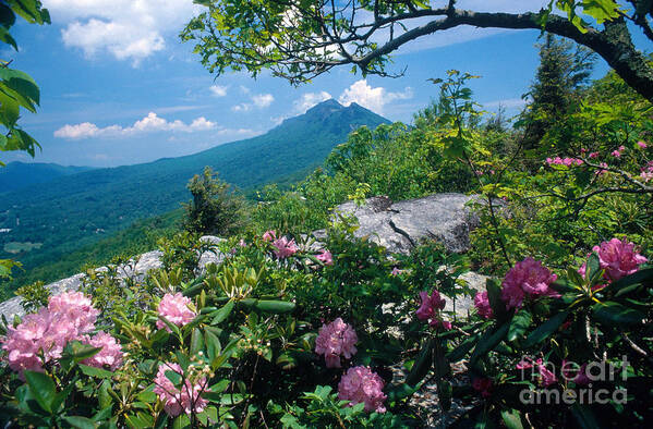 Grandfather Mountain Art Print featuring the photograph Grandfather Mountain by Bruce Roberts