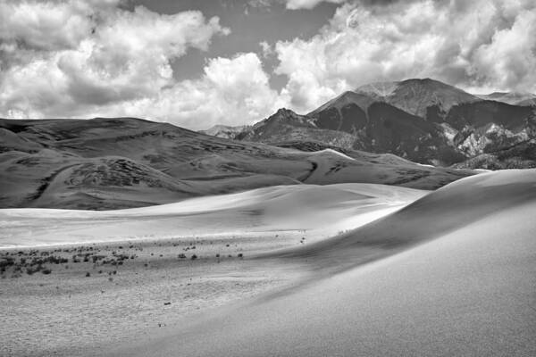Sand Dunes Art Print featuring the photograph Great Sand Dunes #6 - Black and White by Nikolyn McDonald