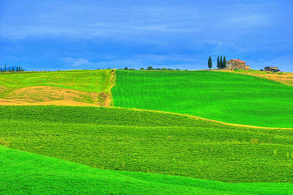 Tuscany Art Print featuring the photograph Green Green Grass of Home by Midori Chan