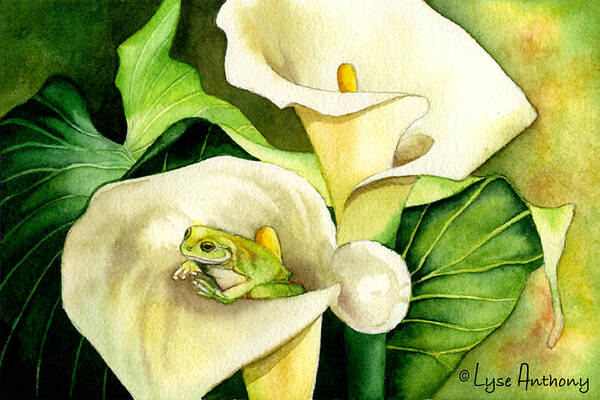 Frog Art Print featuring the painting Green Peace by Lyse Anthony