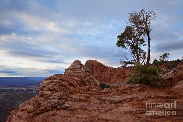 Canyon Lands Art Print featuring the photograph Greet the Dawn by Jim Garrison