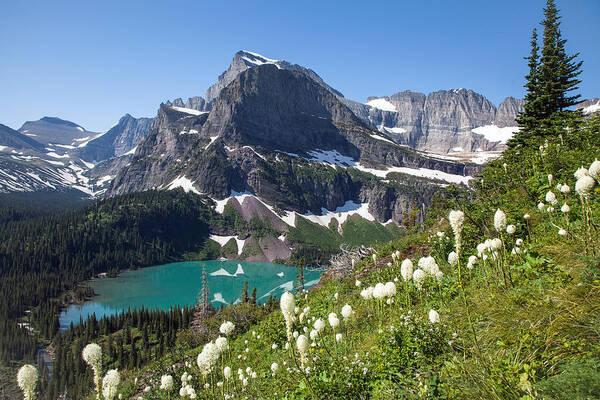 Beargrass Art Print featuring the photograph Grinnell Lake with Beargrass by Jack Bell