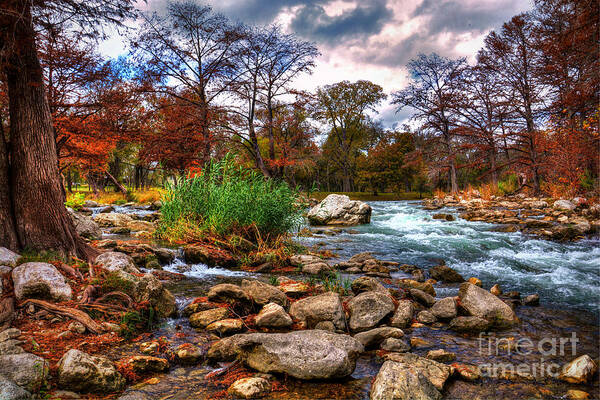 Guadalupe River Art Print featuring the photograph Guadalupe in the Fall by Savannah Gibbs