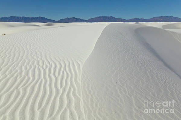 00559177 Art Print featuring the photograph White Sands Gypsum Dunes by Yva Momatiuk John Eastcott