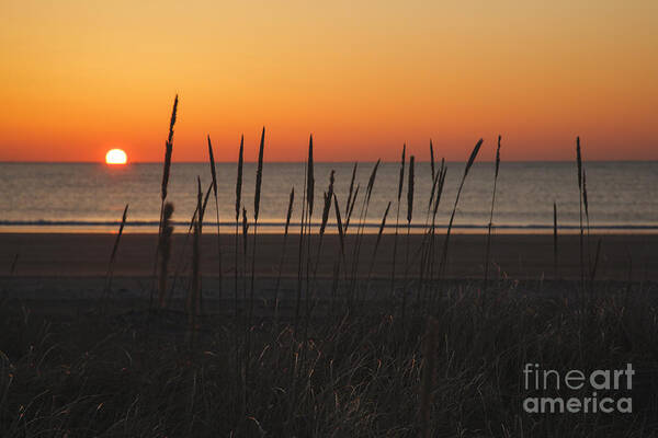 America Art Print featuring the photograph Hampton Beach State Park - Hampton New Hampshire USA by Erin Paul Donovan