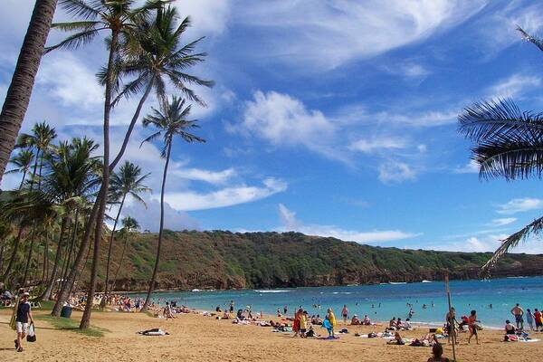 Hanauma Beach Art Print featuring the photograph Hanauma Bay Oahu Hawaii by Kenneth Cole