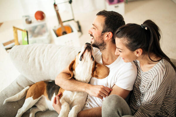 Pets Art Print featuring the photograph Happy family by AleksandarNakic