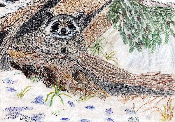 Raccoon Art Print featuring the painting Happy Raccoon by Linda Feinberg