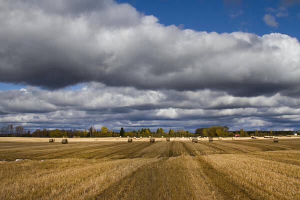 Hay Art Print featuring the photograph Hay Field by Daniel Martin