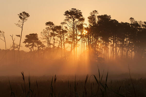 Beam Art Print featuring the photograph Hazy Summer Morning Sunrise by Kyle Lee