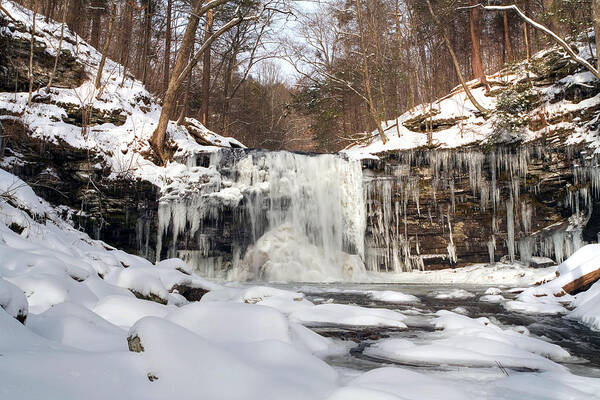Harrison Wright Falls Art Print featuring the photograph Heavy Ice At Harrison Wright by Gene Walls