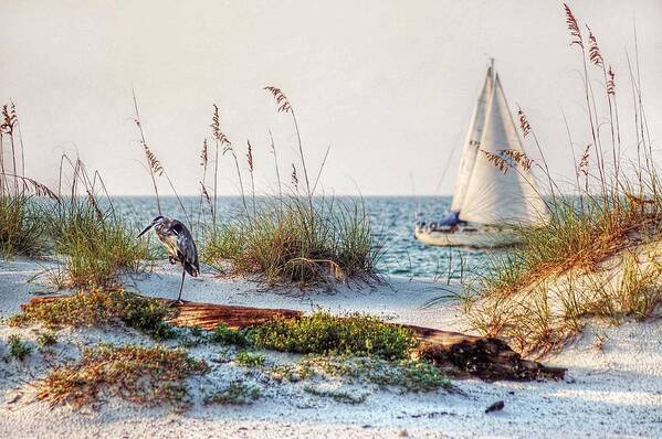Alabama Art Print featuring the photograph Heron and Sailboat Larger Sizes by Michael Thomas