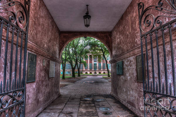 College Of Charleston Art Print featuring the photograph Higher Education Tunnel by Dale Powell