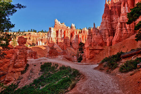 Bryce Canyon Art Print featuring the photograph Hike Through The Hoodoos by Greg Norrell