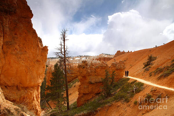 Bryce Canyon Art Print featuring the photograph Hiking in Bryce Canyon by Butch Lombardi