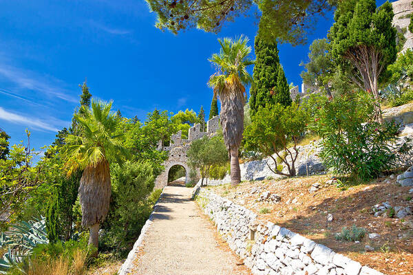 Hvar Art Print featuring the photograph Historic Hvar fortification wall in nature by Brch Photography