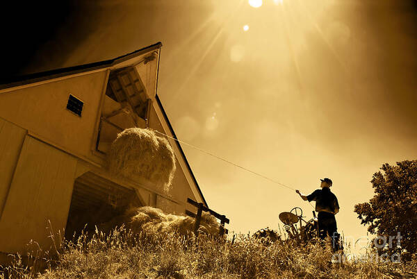 Agriculture Art Print featuring the photograph Hoisting Hay by Phil Cardamone