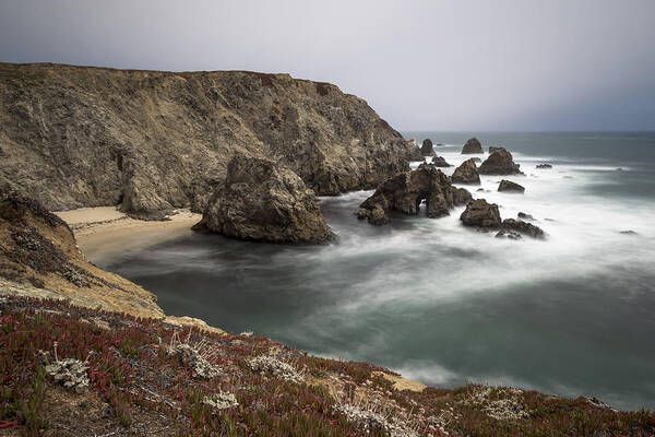 Bodega Bay Art Print featuring the photograph Hole In The Head by Lee Harland