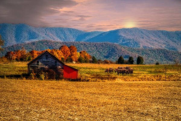 Virginia Landscape. Rustic Barn. Old Homestead. House. Vintage Farm Scene. Fall .autumn. Fall Colors. Autumn Colored Landscape. Mountains. Hills. Trees. Fences. Cattle. Cows. Pasture. Grasses. Photography. Fine Art. Prints. Canvas. Texture. Digital Art. Nature. Wildlife. Sun. Sun Shinning. Cloudy Skies. Greeting Cards. Poster. Art Print featuring the photograph Home on the Range by Mary Timman