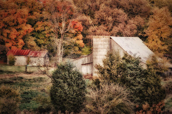 Tennessee Art Print featuring the photograph Homestead in the Hills by Mary Timman