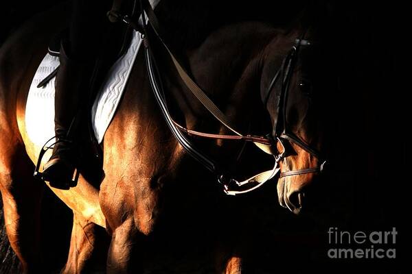 Horse Art Print featuring the photograph Horse in the Shade by Janice Byer