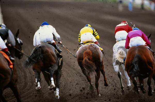 Horse Art Print featuring the photograph Horse racing, back view of five competitors, mud flying up by David Madison