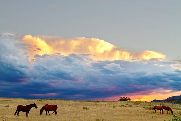 Horses Art Print featuring the photograph Horses On The Storm by James BO Insogna