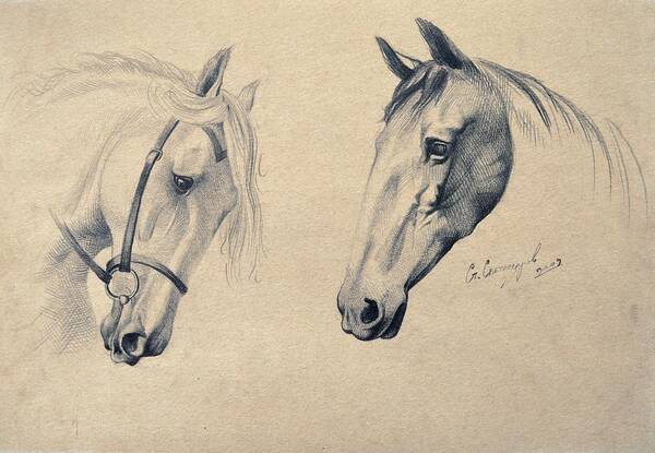Portraits Art Print featuring the drawing Horses by Atanasov Art
