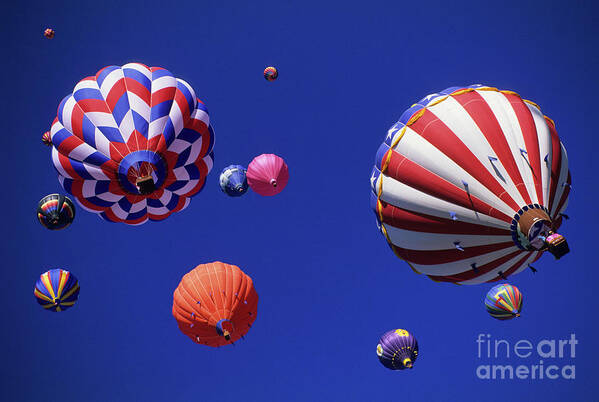 Albuquerque Art Print featuring the photograph Hot Air Balloon 12 by Bob Christopher