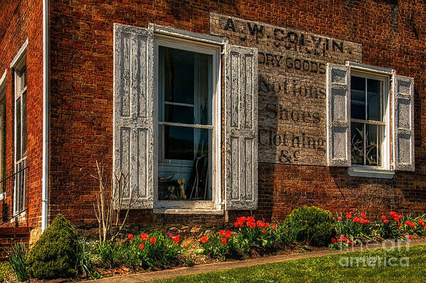 Window Art Print featuring the photograph How Much Is That Bunny In The Window by Lois Bryan