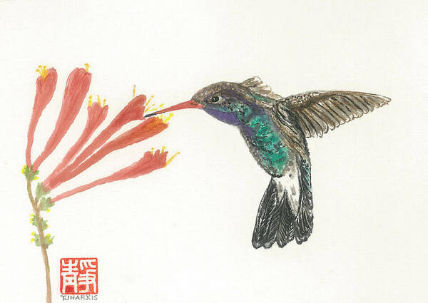 Japanese Art Print featuring the painting Hummingbird Flight by Terri Harris