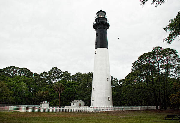 Lighthouse Art Print featuring the photograph Hunting Island Light by John Black