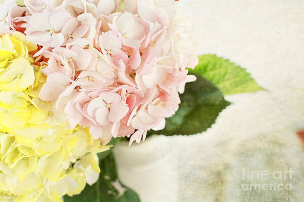 Flower Art Print featuring the photograph Hydrangeas in Pastel by Stephanie Frey