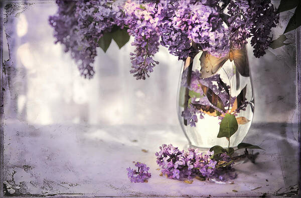 Lilacs Art Print featuring the photograph I Picked A Bouquet Of Lilacs Today by Theresa Tahara