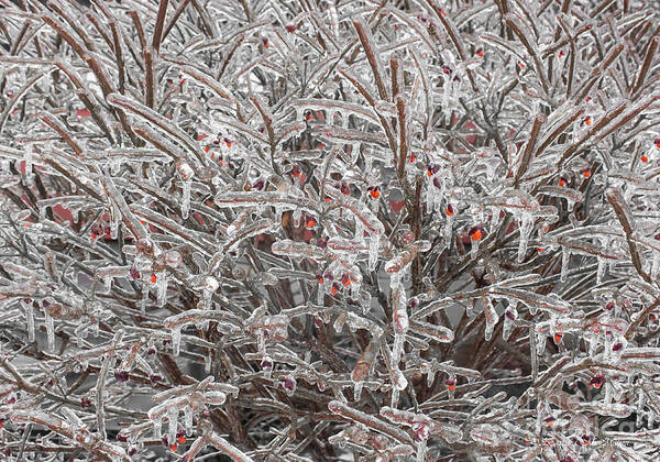 Ice Art Print featuring the photograph Ice Abstract 1 by Barbara McMahon
