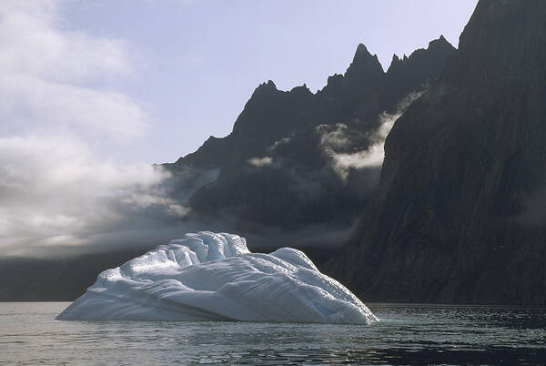 Feb0514 Art Print featuring the photograph Ice Floe In Southern Greenland Fjord by Tui De Roy