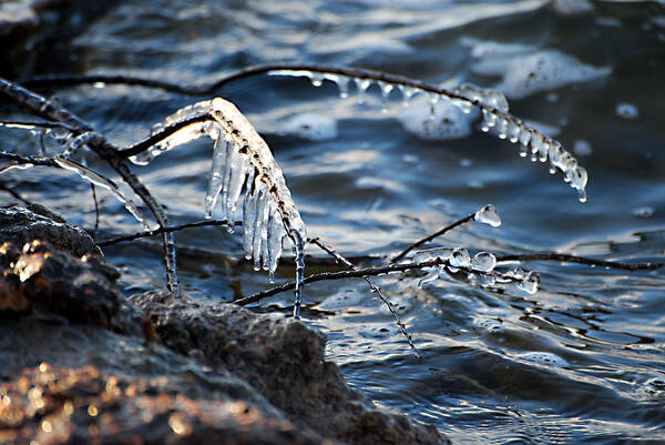 Ice Art Print featuring the photograph Ice Water by Linda Cox