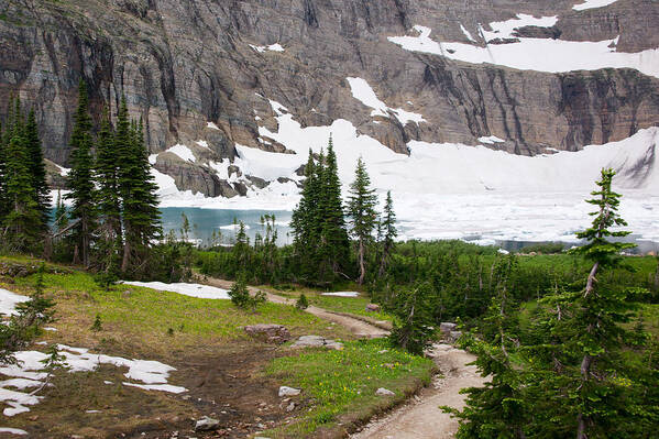 Montana Art Print featuring the photograph Iceberg Lake by Kent Nancollas