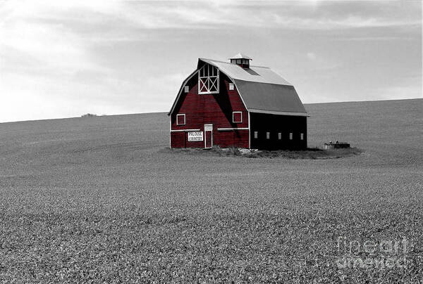Palouse Art Print featuring the photograph Icon of the Palouse by Sharon Elliott