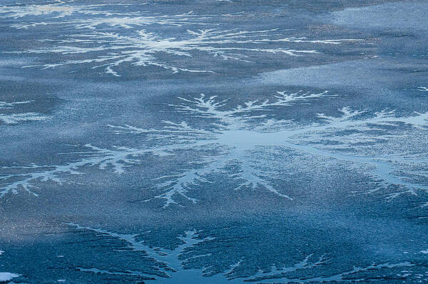 Ice Art Print featuring the photograph Icy Designs by Cathy Kovarik