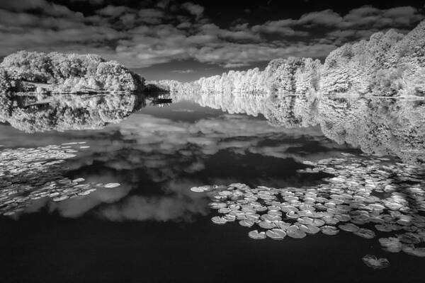 Infrared Art Print featuring the photograph If I am dreaming do not wake me by Edward Kreis