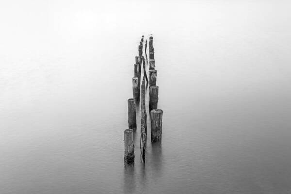 Piling Art Print featuring the photograph I'm Broken by Edward Kreis