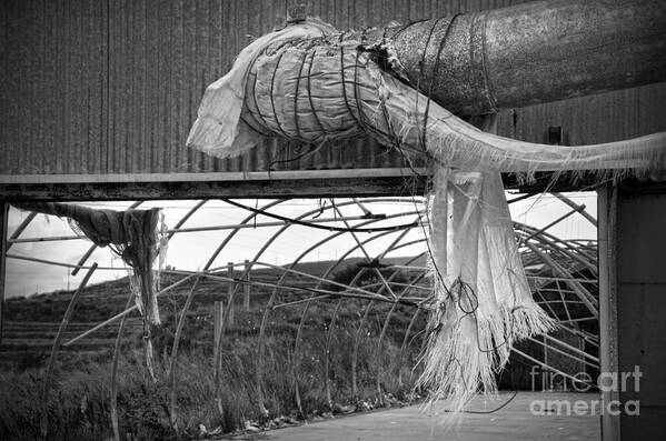 Shed Art Print featuring the photograph In an abandoned mushroom farm BW by RicardMN Photography